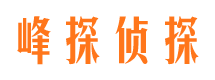 石龙市场调查